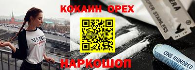 крисы Кингисепп