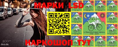 крисы Кингисепп