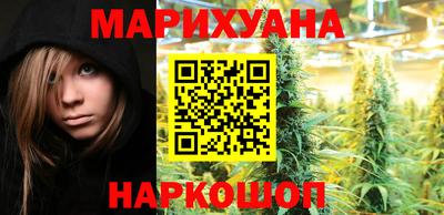 крисы Кингисепп