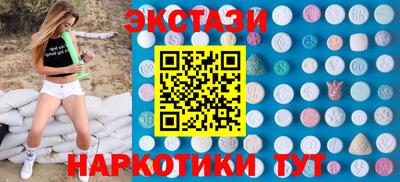 крисы Кингисепп