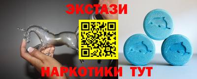 крисы Кингисепп