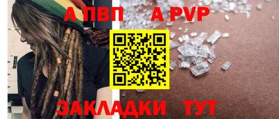 крисы Кингисепп