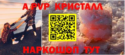 крисы Кингисепп