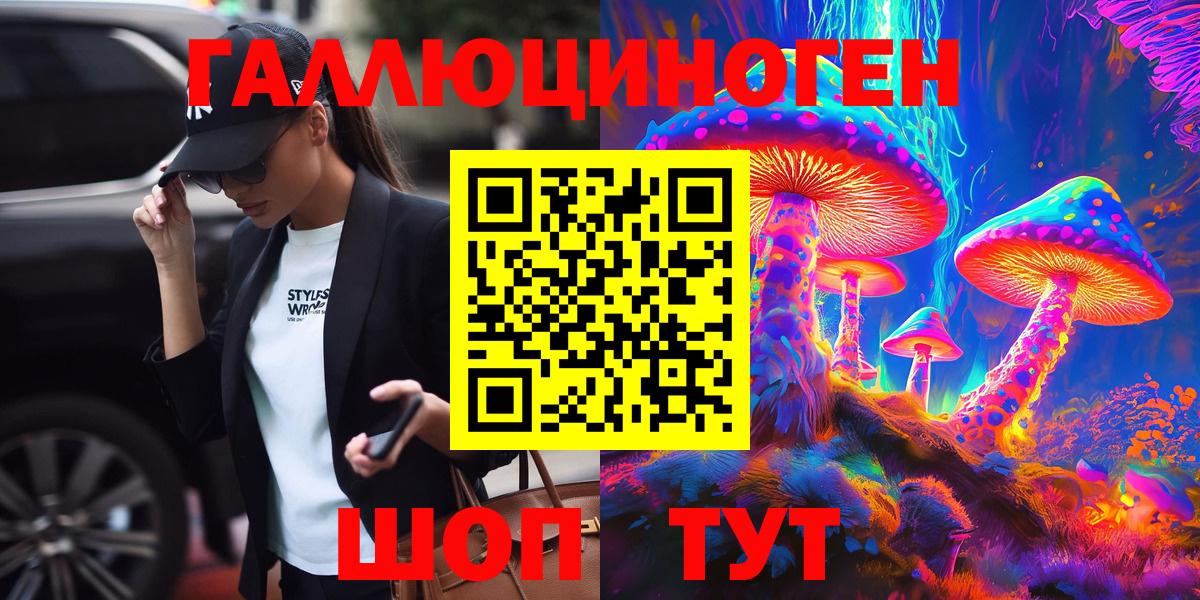 Псилоцибиновые грибы Psilocybe Геленджик