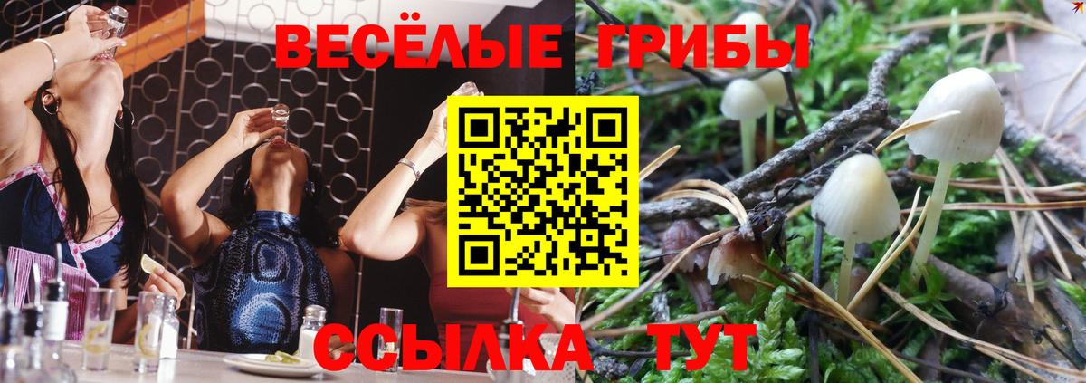 Псилоцибиновые грибы Magic Shrooms  Вход с VPN  Геленджик  Псилоцибиновые грибы Magic Shrooms 